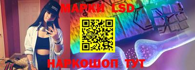 mdpv Ярославль