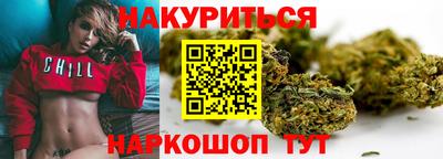 индика Шебекино