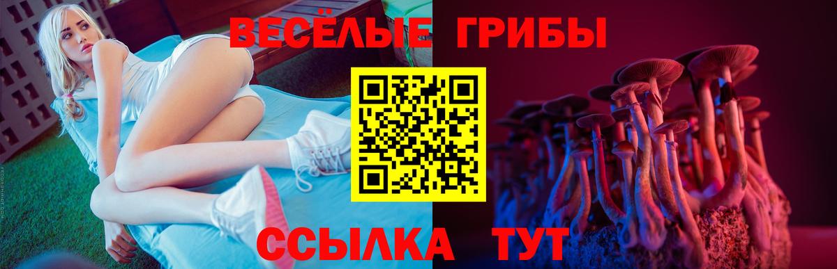 Галлюциногенные грибы Magic Shrooms Выборг