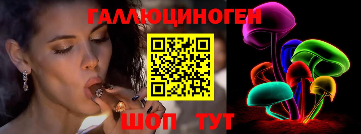 Выборг  Галлюциногенные грибы мухоморы  Вход с VPN 